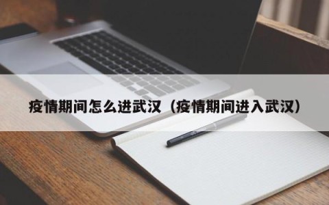 疫情期间怎么进武汉（疫情期间进入武汉）
